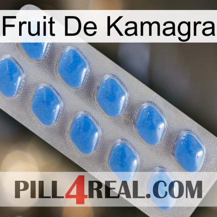 Kamagra Fruit 22